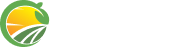 Footer 6