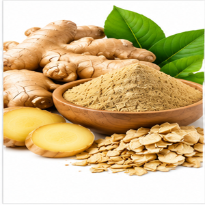 Our Products