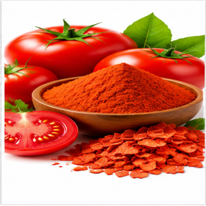 Our Products